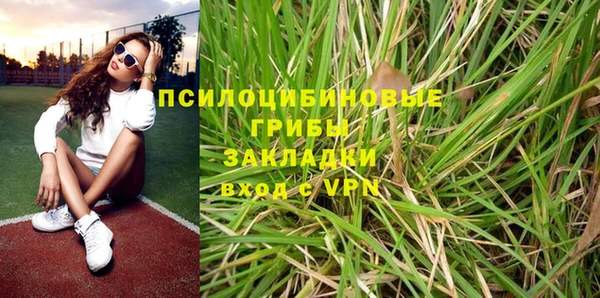 прущая мука Елабуга