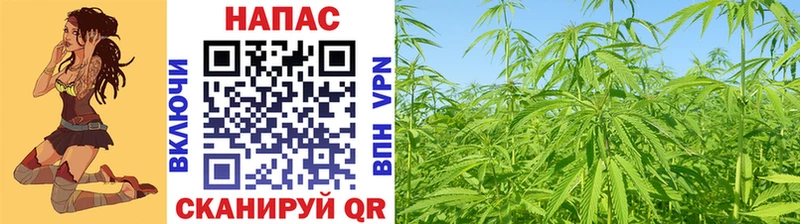 Купить закладки Зерноград Марихуана Bruce Banner